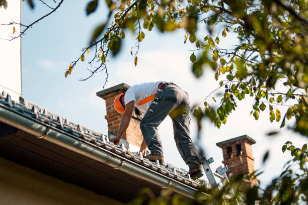 Roof Installation Near Me in Bronte, TX